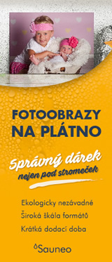 www.sauneo.cz/fotoobrazy